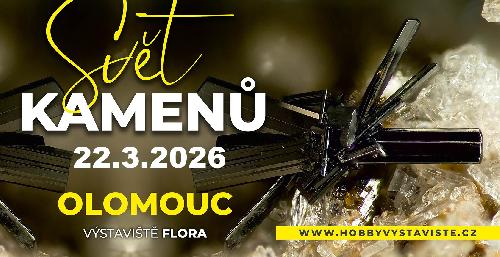 SV�T KAMEN�, V�STAVI�T� FLORA OLOMOUC, ned�le 22.3