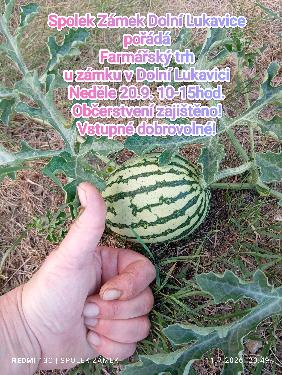 Farm��sk� trh u z�mku v Doln� Lukavici 