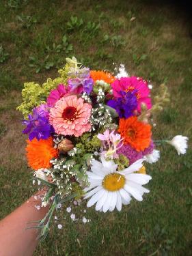 Omlouv�me se, ale obrazek nebyl dod�n