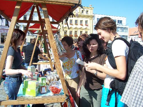 Omlouv�me se, ale obrazek nebyl dod�n
