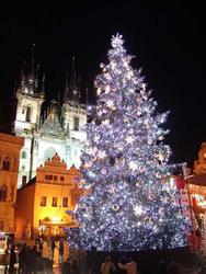 Omlouv�me se, ale obrazek nebyl dod�n