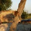 Omlouv�me se, ale obrazek nebyl dod�n